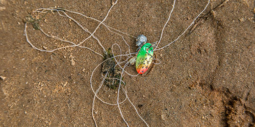 Manmade objects